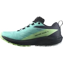 Damen Laufschuhe Salomon Sense Ride 5 Gtx Blue Radiance / Green Ash / India Ink