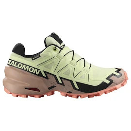 Damen Laufschuhe Salomon Speedcross 6 Gore-Tex Lime Cream/Mahogany Rose/Black