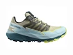 Damen Laufschuhe Salomon  THUNDERCROSS W Alfalfa/TanagerTurquoise/Sunny Lime  UK 6