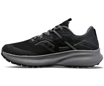 Damen Laufschuhe Saucony  Ride 15 TR GTX Black/Charcoal