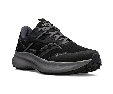 Damen Laufschuhe Saucony  Ride 15 TR GTX Black/Charcoal