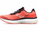 Damen Laufschuhe Saucony  Triumph 19 Sunstone/Night