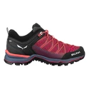 Damen-Outdoorschuhe Salewa  MTN Trainer Lite