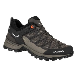 Damen-Outdoorschuhe Salewa WS MTN Trainer Lite GTX