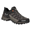 Damen-Outdoorschuhe Salewa  WS MTN Trainer Lite GTX  UK 6