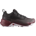 Damen-Outdoorschuhe Salomon  CROSS HIKE GTX 2 W