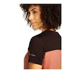 Damen T-Shirt Icebreaker Merino Cool-Lite Sphere III SS Te Colour Cedar Wood/Bittersweet/Cb