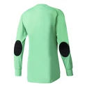 Goalie Trikot adidas  Assita 17 GK Junior