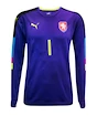 Goalie Trikot Puma