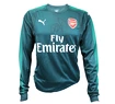 Goalie Trikot Puma