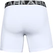 Herren Boxer Shorts Under Armour  Charged Cotton 6" 3 Pack white Dynamic