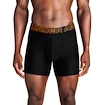 Herren Boxer Shorts Under Armour Perf Tech 6in