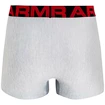 Herren Boxer Shorts Under Armour  Tech 3" 2 Pack grey