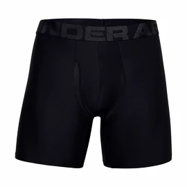 Herren Boxer Shorts Under Armour Tech 6" 2 Pack black Dynamic