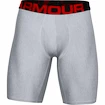 Herren Boxer Shorts Under Armour  Tech 9in 2 Pack grey Dynamic