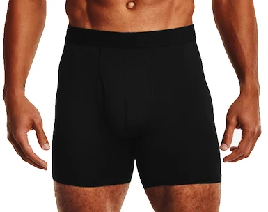 Herren Boxer Shorts Under Armour  Tech Mesh 6" 2 Pack black