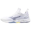 Herren Hallenschuhe Mizuno  Wave LUMINOUS 3 White/Bellwether Blue