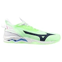 Herren Hallenschuhe Mizuno  Wave MIRAGE 5 Neo Mint/Black