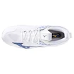 Herren Hallenschuhe Mizuno  Wave MOMENTUM 3 White/Bellwether Blue