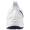 Herren Hallenschuhe Mizuno  Wave MOMENTUM 3 White/Bellwether Blue