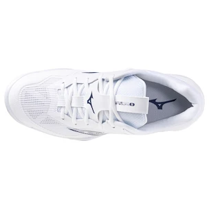 Herren Hallenschuhe Mizuno  Wave STEALTH 6 White/Bellwether Blue