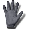 Herren Handschuhe  Under Armour  Storm Golf Gloves grey