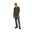 Herren Hoodie Icebreaker Merino 260 Quantum IV LS Zip Hoodie Loden