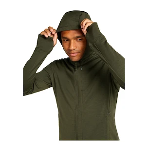 Herren Hoodie Icebreaker Merino 260 Quantum IV LS Zip Hoodie Loden