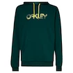 Herren Hoodie Oakley  The Post Po Hoodie S