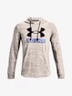 Herren Hoodie Under Armour