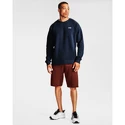 Herren Hoodie Under Armour  Rival Cotton Crew