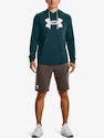 Herren Hoodie Under Armour  Rival Terry Logo Hoodie-GRN