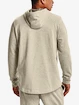 Herren Hoodie Under Armour  Rival Try Athlc Dept HD-BRN