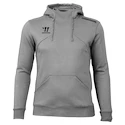 Herren Hoodie Warrior Alpha X Aspire Hoody Gray