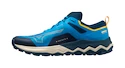 Herren Laufschuhe Mizuno Wave Ibuki 4 Cloisonné/Blue Opal/Moonstruck  UK 7