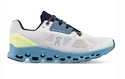 Herren Laufschuhe On Cloudstratus Frost/Niagara  EUR 47