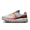 Herren Laufschuhe On Cloudvista 2 Ice/Flame