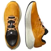 Herren Laufschuhe Salomon Aero Glide 3 Turmeric/White/Black