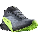 Herren Laufschuhe Salomon  GTX Flint/Black/Grgeck