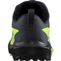 Herren Laufschuhe Salomon  GTX Flint/Black/Grgeck