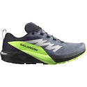 Herren Laufschuhe Salomon  GTX Flint/Black/Grgeck