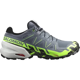 Herren Laufschuhe Salomon GTX Flint/Grgeck/Black