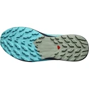 Herren Laufschuhe Salomon Sense Ride 5 Alfalfa / Carbon / Peacock Blue