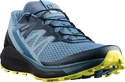 Herren Laufschuhe Salomon Sense Ride Copen Blue