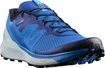 Herren Laufschuhe Salomon Sense Ride Turkish Sea