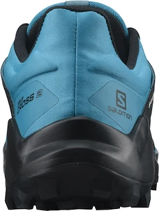 Herren Laufschuhe Salomon  Wildcross 2 GTX Barrier Reef