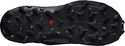 Herren Laufschuhe Salomon  Wildcross