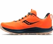 Herren Laufschuhe Saucony  Peregrine 12 Campfire Stories