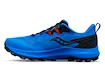 Herren Laufschuhe Saucony  Peregrine 14 Cobalt/Black