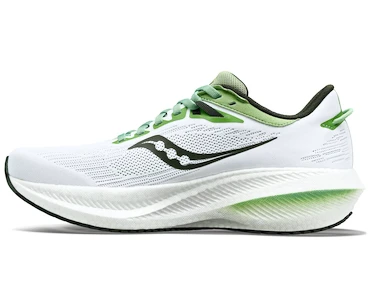 Herren Laufschuhe Saucony  Triumph 21 White/Umbra